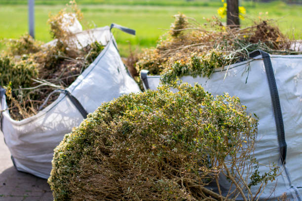 Best Commercial Junk Removal  in Beggs, OK